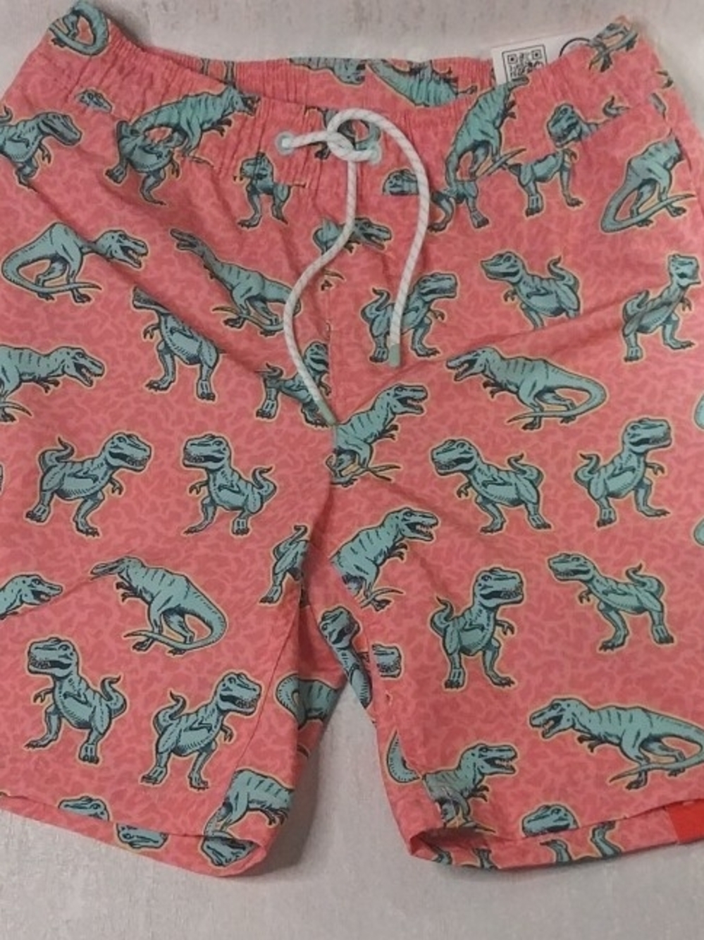 Men's Coral Swim Trunks with Teal Dino Print